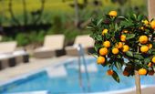 4 Tage "Auf und davon"  |   am Wochenende 
